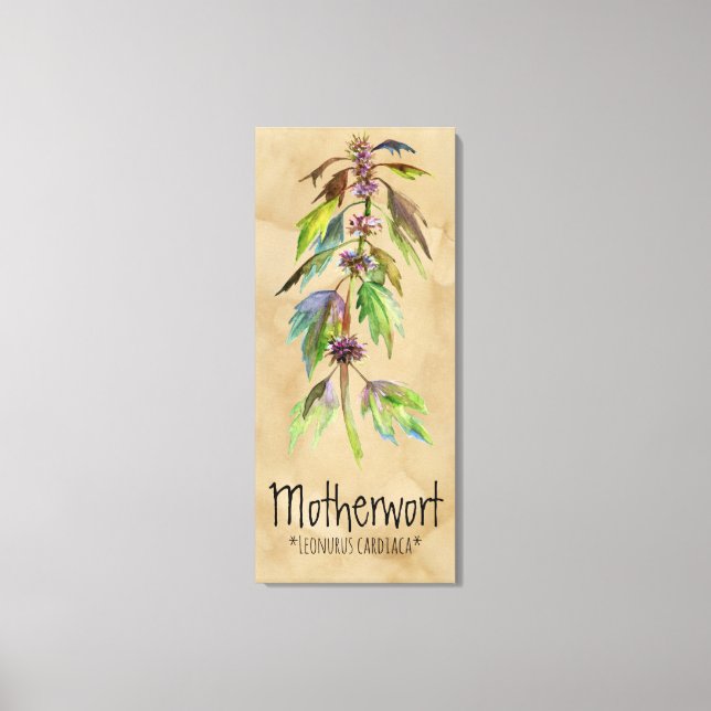 Magical Plants Motherwort 18.30'' x 41.73'' Canvas (Front)