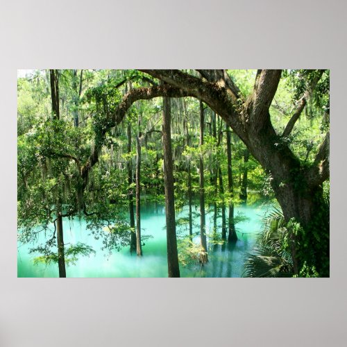 Magical Radium Springs Park Poster