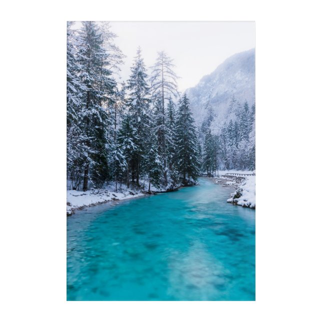 Magical river in enchanted winter forest acrylic print (Front)