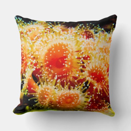 Magical Sea Urchins Throw Pillow