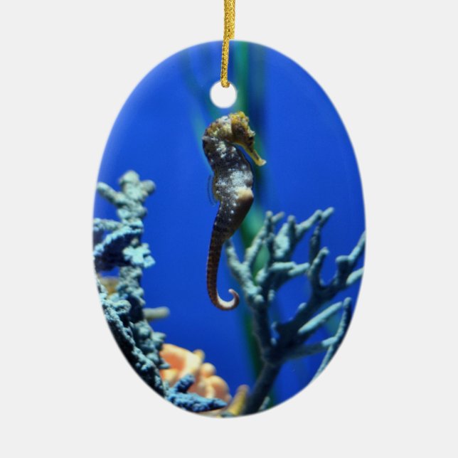 Magical Seahorse Ceramic Ornament (Front)
