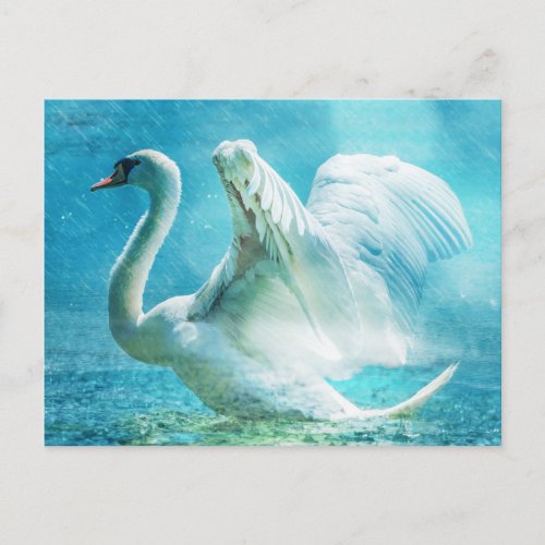 Magical Swan During a Summer Shower Postcard