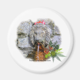 Magical Well, Glastonbury England Magnet