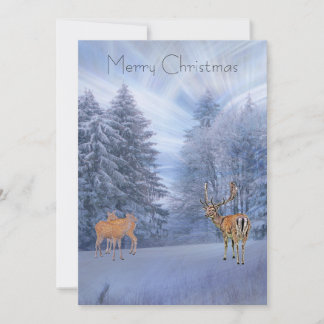Magical winter forest with deer, custom christmas holiday card