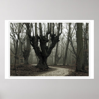 Magical Wood Poster