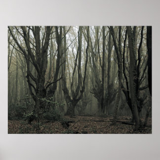 Magical Wood Poster