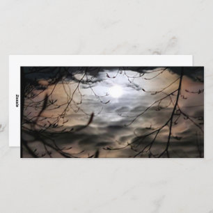 Magickal Moonscape (blank inside) Holiday Card