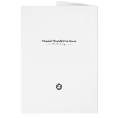Magico Cards (Back)