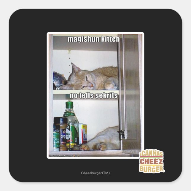 Magishun Kitteh Square Sticker (Front)