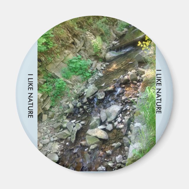 Magnesium on the fridge magnet (Front)