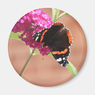 Magnet