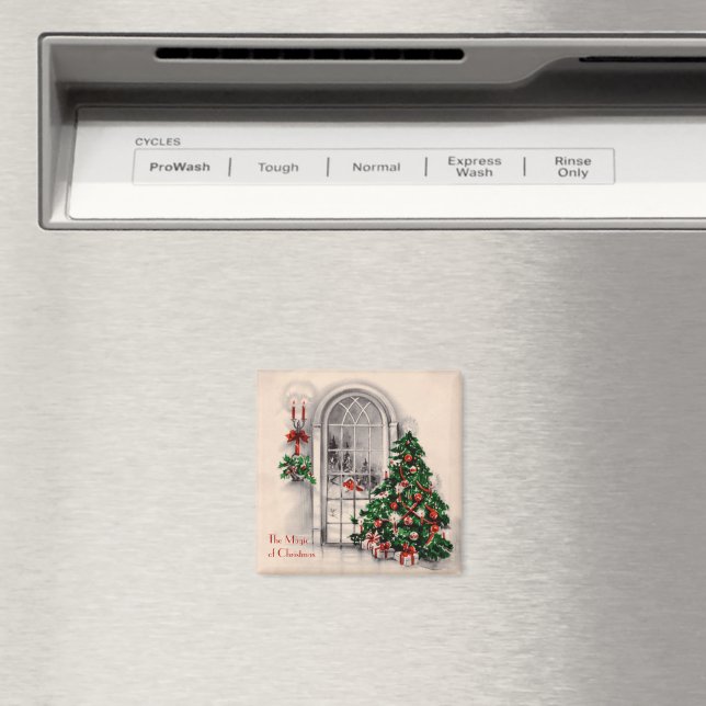 Magnet (In Situ (Dishwasher))