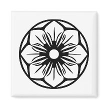 magnet