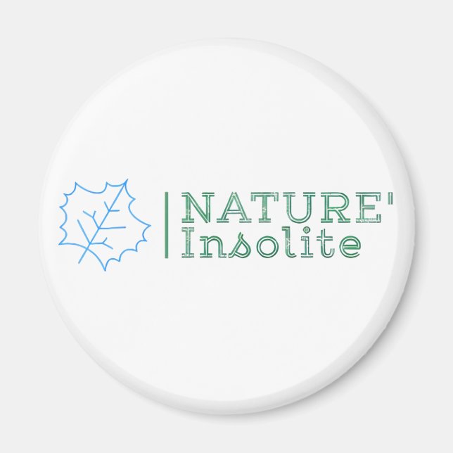magnet (Front)