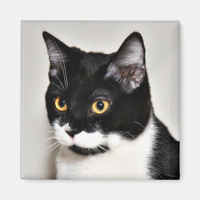 . MAGNET (Front)
