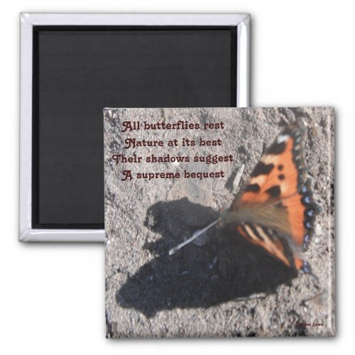Magnet All Butterflies Rest Poem By Ladee Basset
