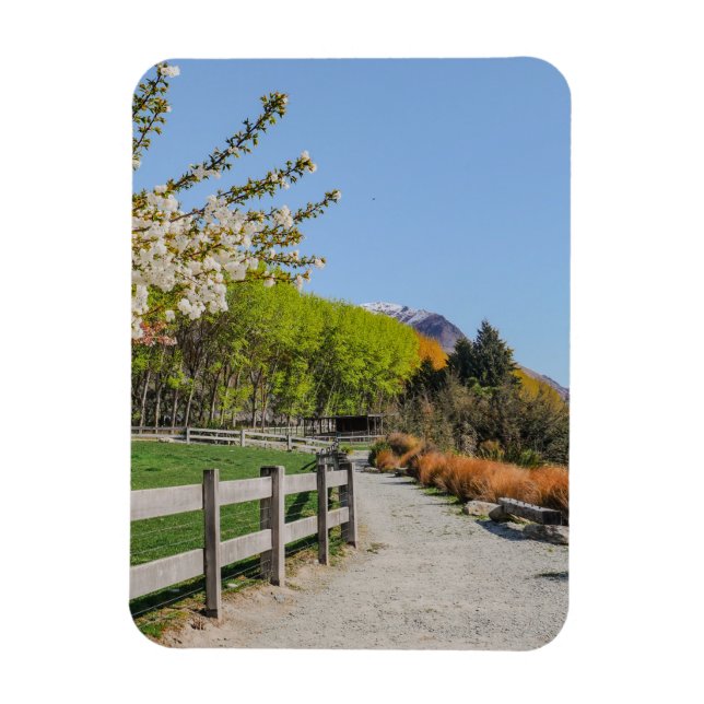 Magnet - backdrop of Walter's peak (Vertical)