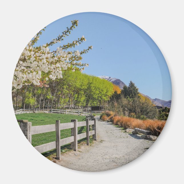 Magnet - backdrop of Walter's peak (Front)