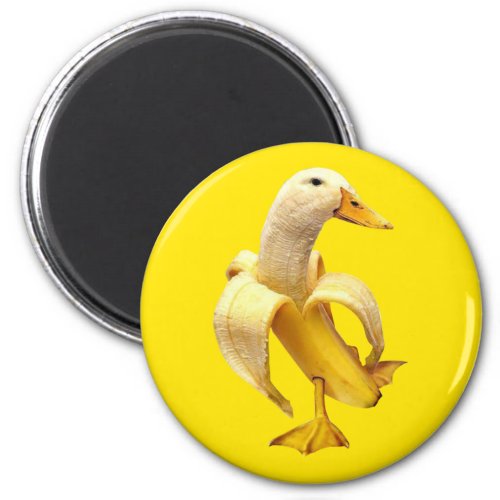 Magnet Banana Duck Meme