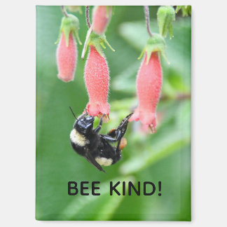 Magnet - Bee on Pink Flower