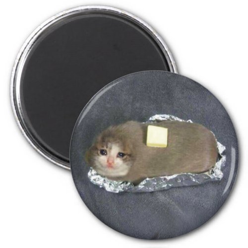 Magnet Butter Cat Meme