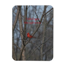 Magnet Cardinals appear when angels are near..