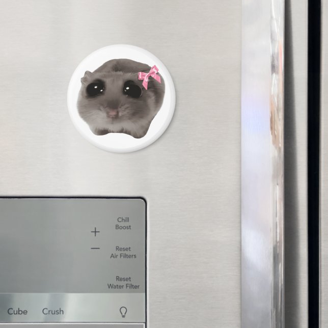 Tổng hợp 25 ảnh Meme hamster cực hài hước