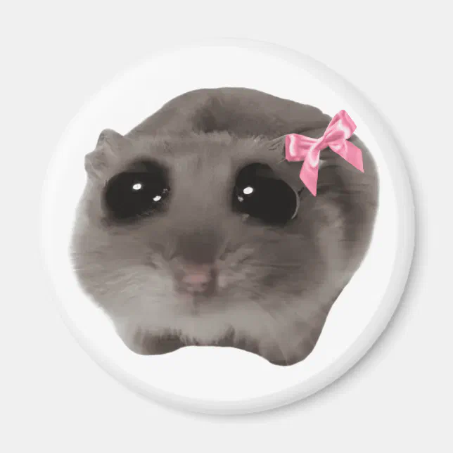 Sad Hamster pluche speelgoed, trieste hamster meme-knuffel met ingebouwde vioolmuziek, handgemaakte gehaakte knuffels breien grote trieste hamsters speelgoed, zachte schattige hamster knuffeldier pop