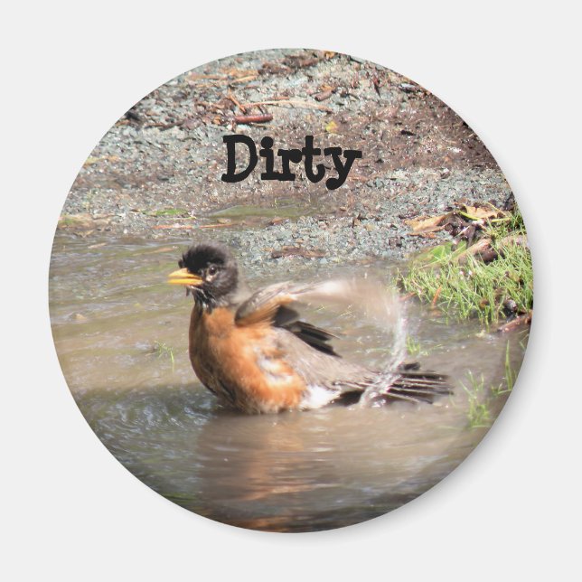 Magnet, Dishwasher, Robin taking a Bath, Dirty Magnet (Front)