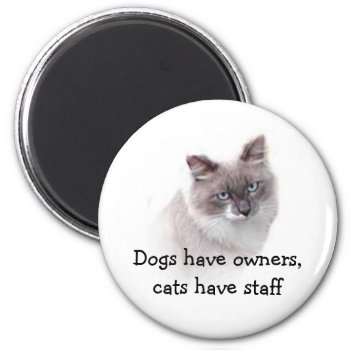 Magnet - Dogs Have Owners  Cats Have Staff by TrinityFarm at Zazzle