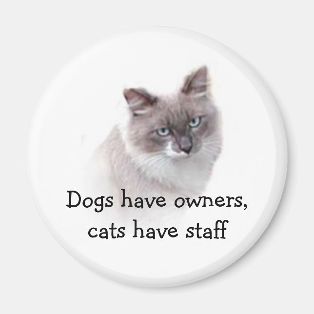 Magnet - Dogs have owners, cats have staff (Front)