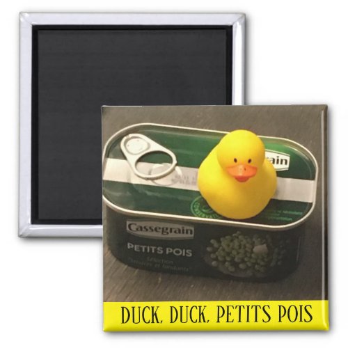 MAGNET _ DUCK DUCK PETITS POIS