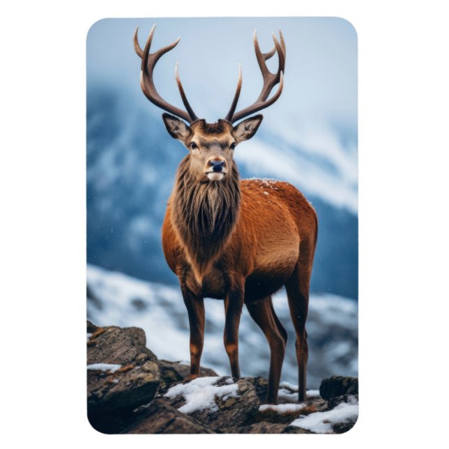 Magnet-Elk Magnet (Vertical)