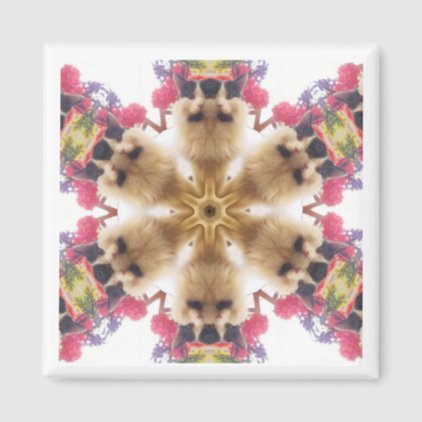 Magnet - Flower Power Cat Kaleidoscope Pattern