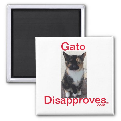 Magnet Gato Disapproves Magnet