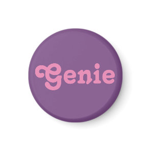 Magnet Genie
