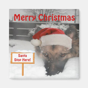 Magnet German Shepherd Santa Stop Here Sign