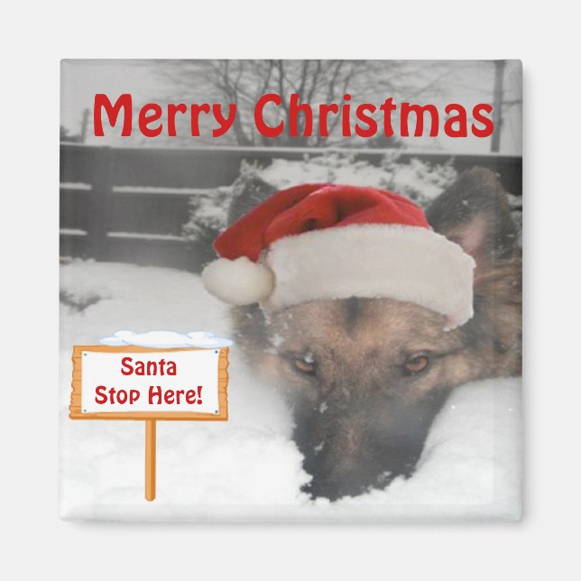 Magnet German Shepherd Santa Stop Here Sign (Front)