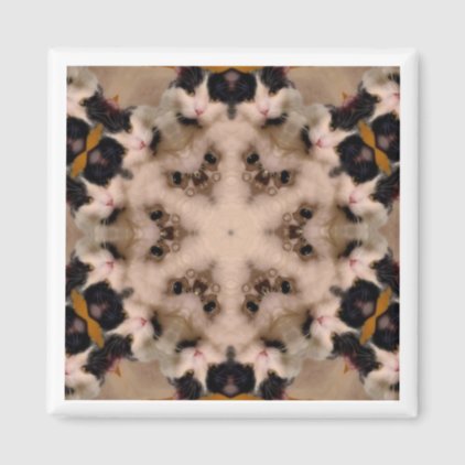 Magnet - Glamour Cat Kaleidoscope Design