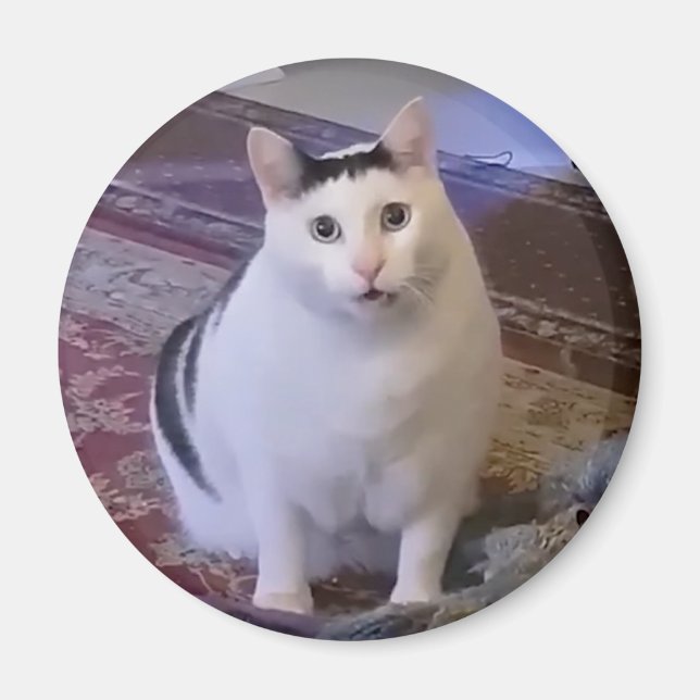 Magnet Huh Cat Meme (Front)