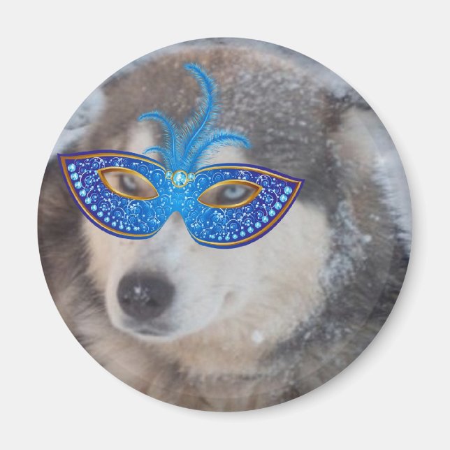 Magnet Husky Blue Eyes Mardi Gras Mask (Front)