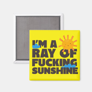 Magnet I'm A Ray Of Freaking Sunshine Funny