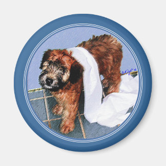 Magnet: "It Wasn't Me!" Magnet