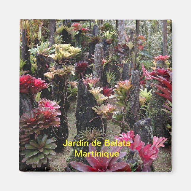 Magnet Jardin Balata - Martinique (Front)