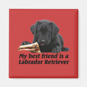 Magnet "Labrador Retriever"
