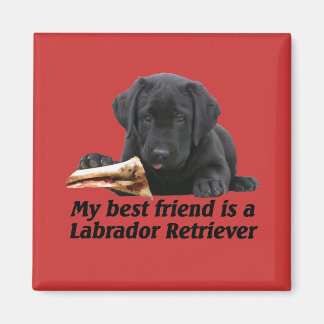 Magnet "Labrador Retriever"