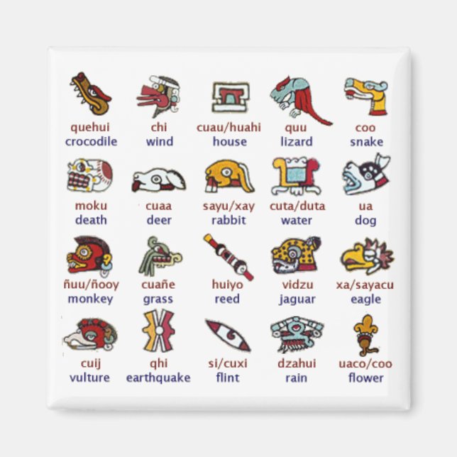 Magnet: Mixtec day symbols Magnet (Front)