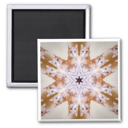 MAGNET - Orange Snowflake Cat Kaleidoscope Design