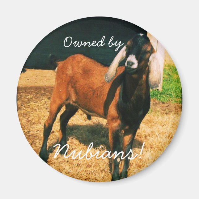 Magnet - Owned by Nubians! (Front)