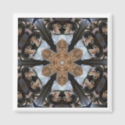 Magnet - Sassy Calico Cat Kaleidoscope Design